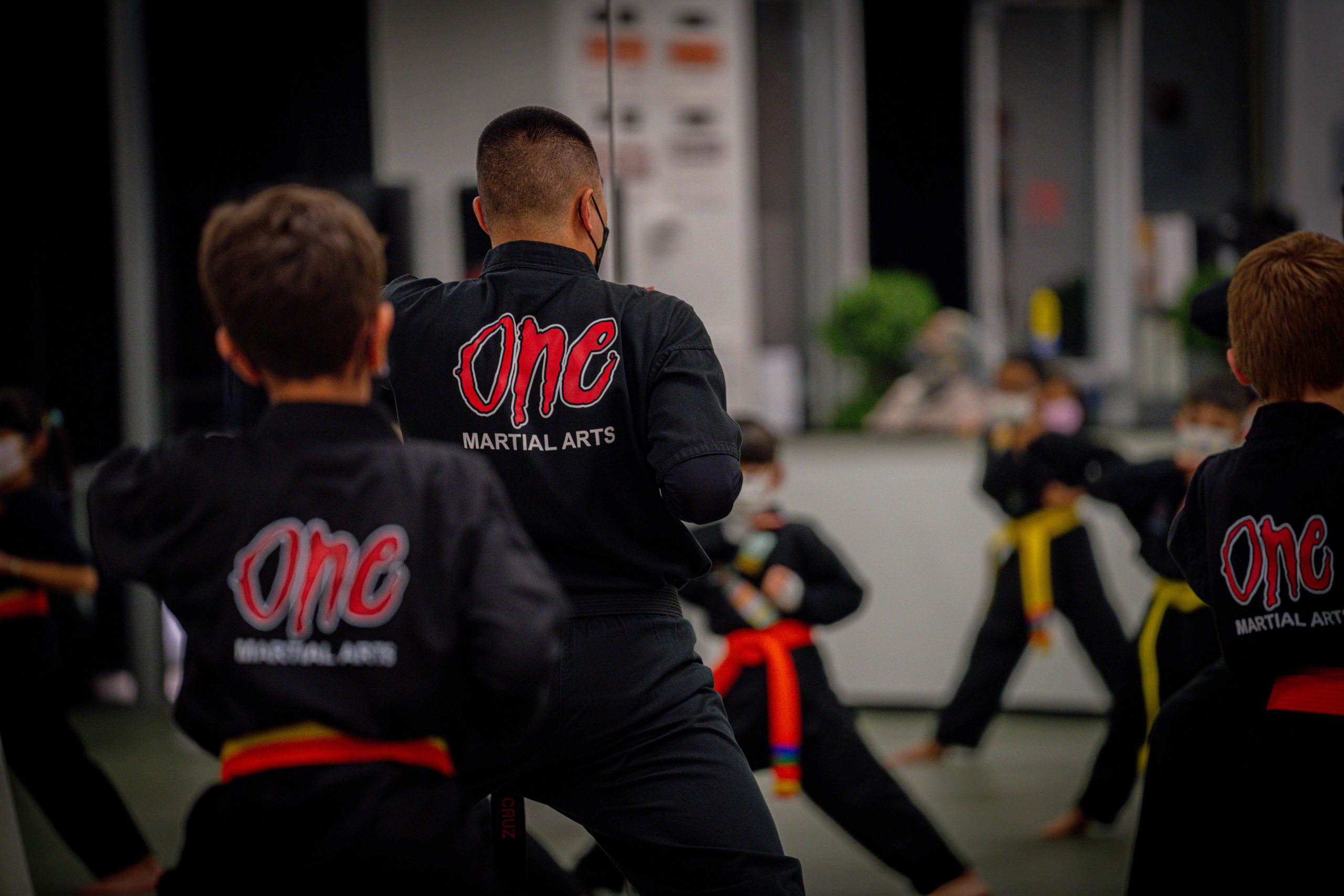 Martial Arts Business Photography and Videography 